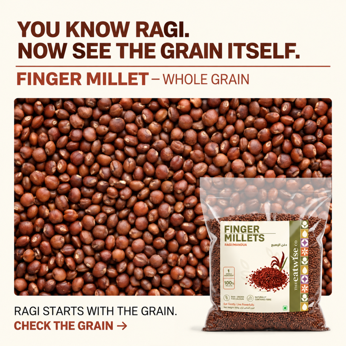 Finger Millet
