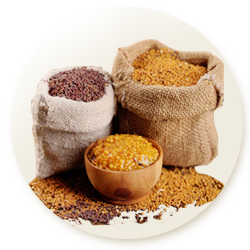 millets-categ-imgs - My Store